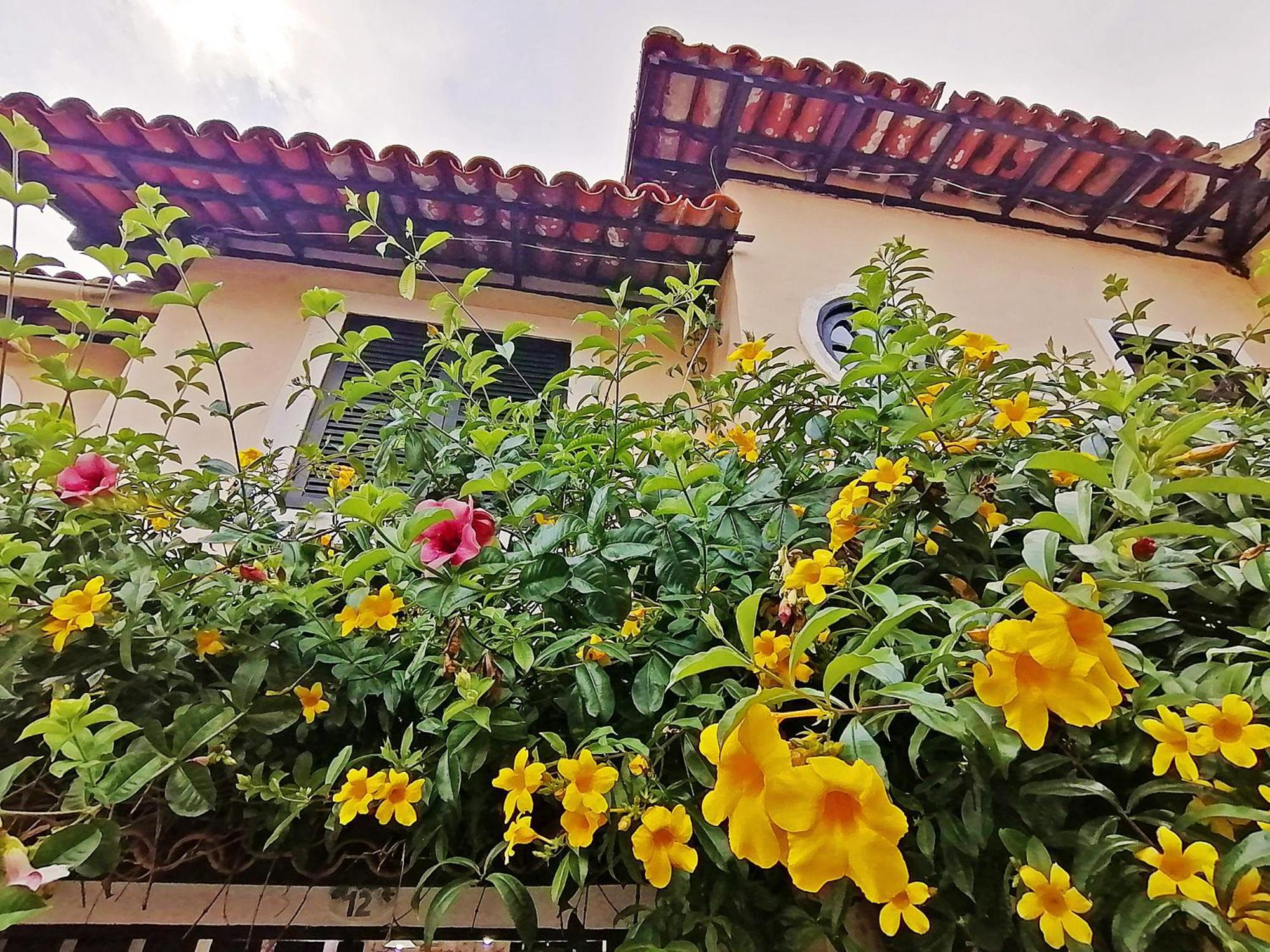 Casa A 500M Da Rua Das Pedras Em Lindo Condominio Com Portaria 24H Búzios المظهر الخارجي الصورة