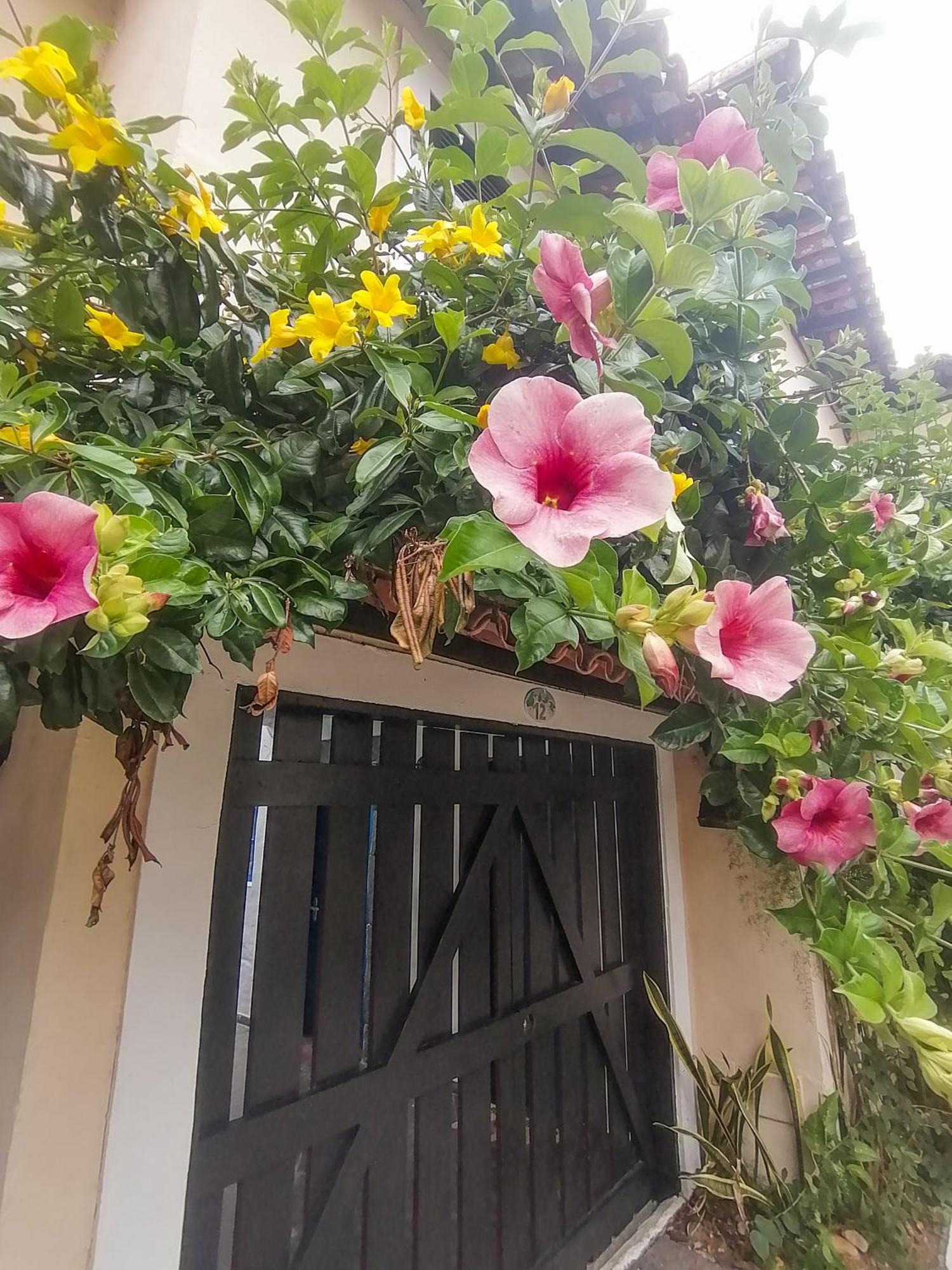 Casa A 500M Da Rua Das Pedras Em Lindo Condominio Com Portaria 24H Búzios المظهر الخارجي الصورة