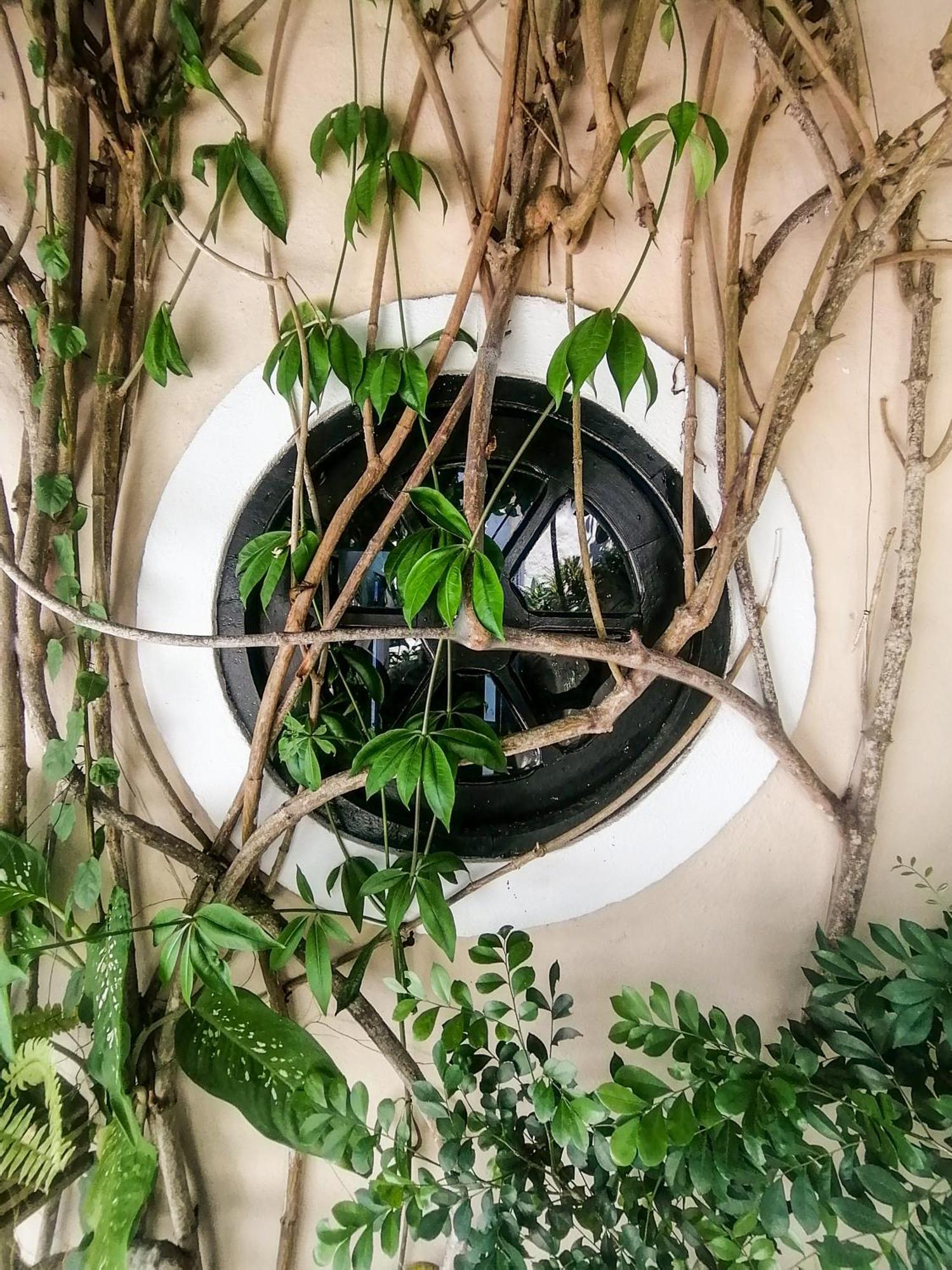 Casa A 500M Da Rua Das Pedras Em Lindo Condominio Com Portaria 24H Búzios المظهر الخارجي الصورة